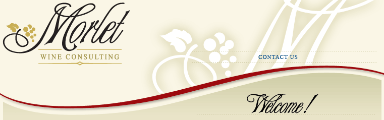 Welcome to Morlet Wine Consulting